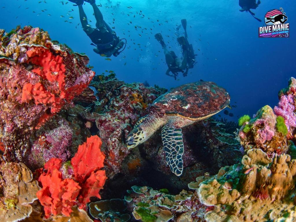 Khaolak Dive Resort Khao Lak Zewnętrze zdjęcie