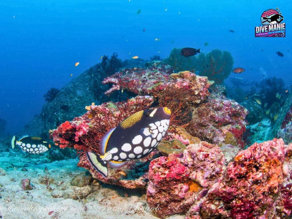 Khaolak Dive Resort Khao Lak Zewnętrze zdjęcie