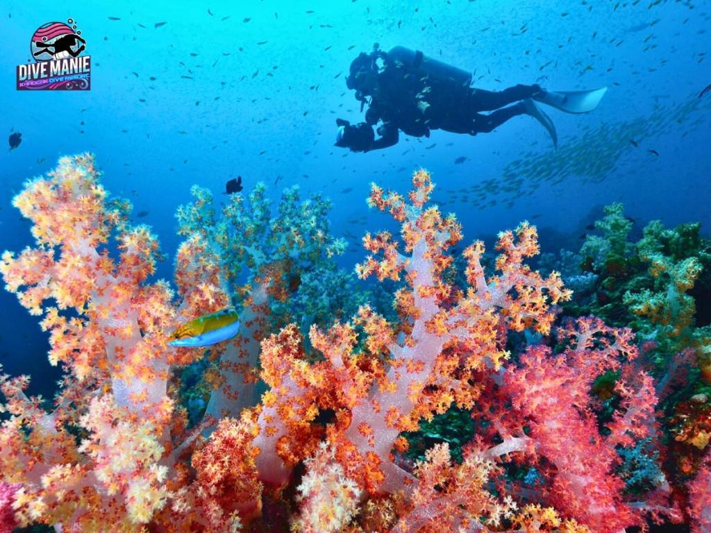 Khaolak Dive Resort Khao Lak Zewnętrze zdjęcie