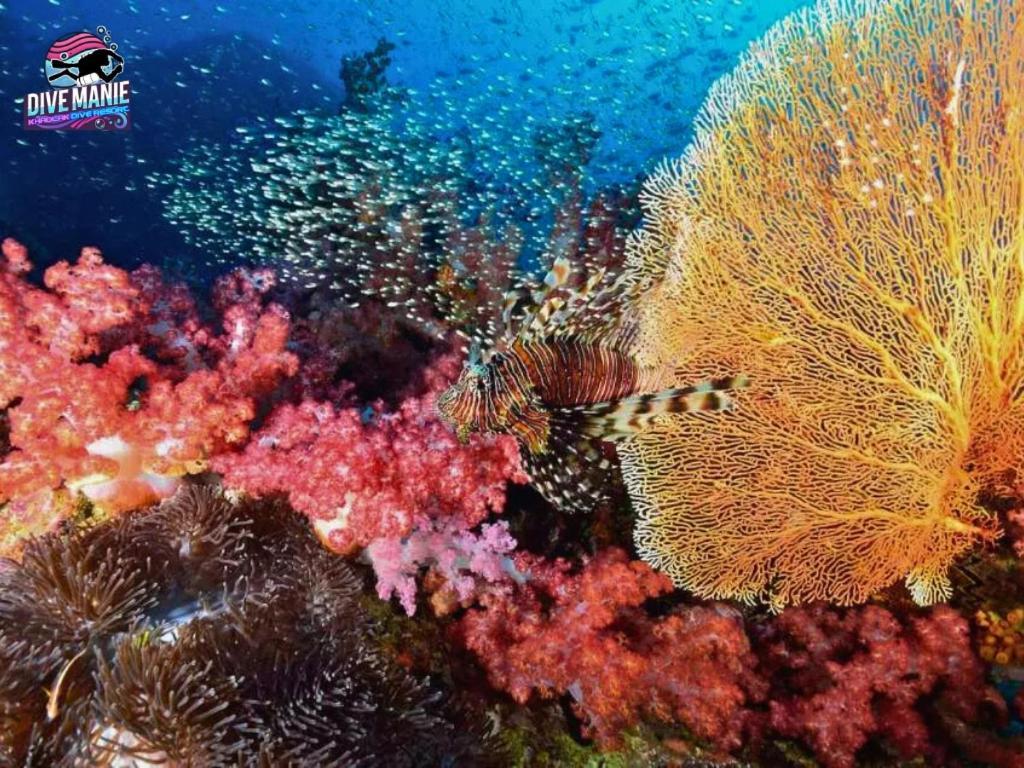 Khaolak Dive Resort Khao Lak Zewnętrze zdjęcie